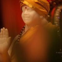 20110225_Photo_1037_IMG_1742_CMP_WM